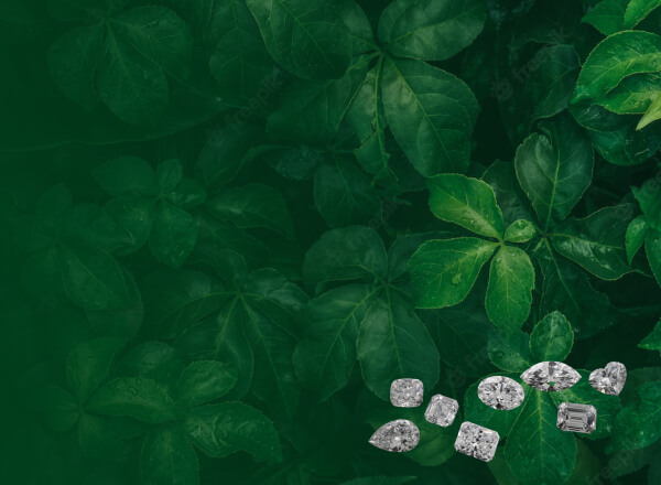 Lab Grown Diamonds